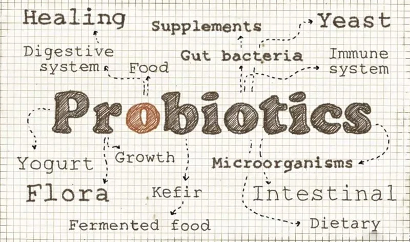 the new frontier of probiotics and health the new frontier of probiotics and health