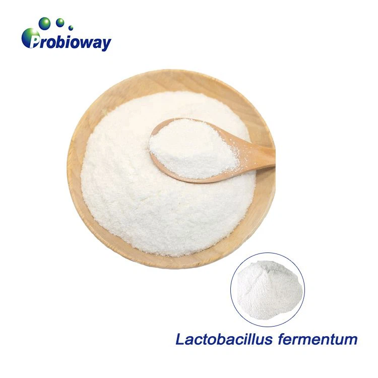 Produkcja prebiotyków