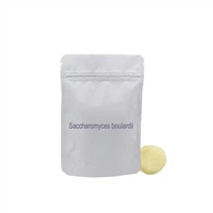 Stabilne Saccharomyces Boulardii