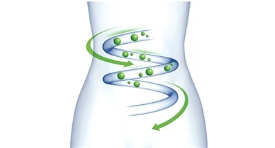 Jak probiotyki kolonizują jelita