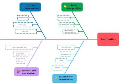 Co to jest postbiotyki?